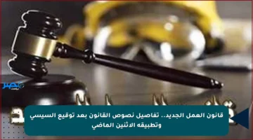 قانون العمل الجديد.. تفاصيل نصوص القانون بعد توقيع السيسي وتطبيقه الاثنين الماضي